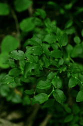 Similar image 21548109