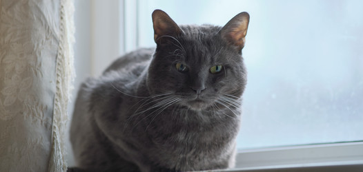 Similar image 21547803