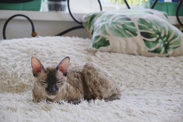 Similar image 21547804