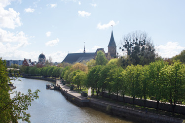 Similar image 21544099