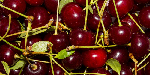 Similar image 21545858