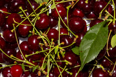 Similar image 21545859