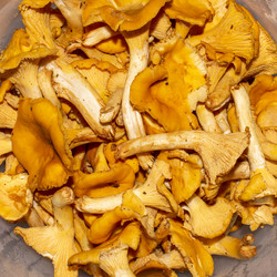 Similar image 21545862