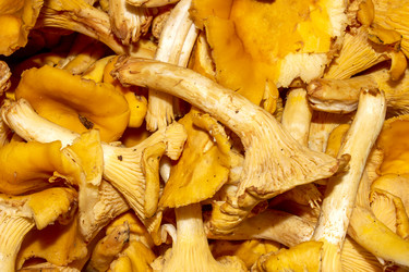 Similar image 21545863