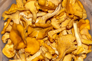 Similar image 21545864