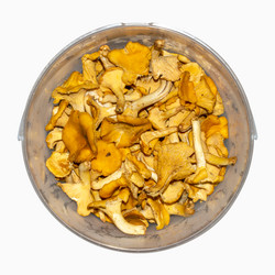 Similar image 21545865