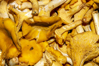 Similar image 21545866