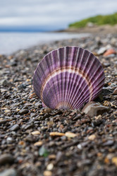 Similar image 21544511