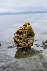 Similar image 21544512