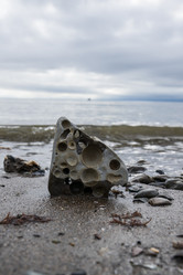 Similar image 21544515