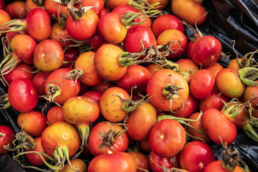 Similar image 21544516