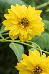 Similar image 21544517