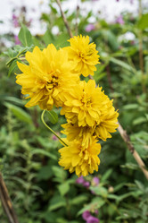 Similar image 21544518