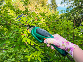 Similar image 21544564