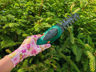 Similar image 21544571