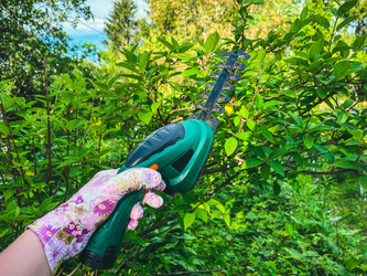 Similar image 21544572