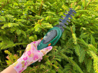 Similar image 21544573