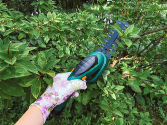 Similar image 21544575