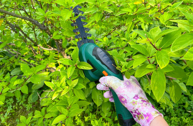 Similar image 21544576