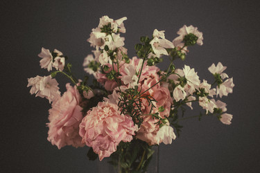 Similar image 21545873