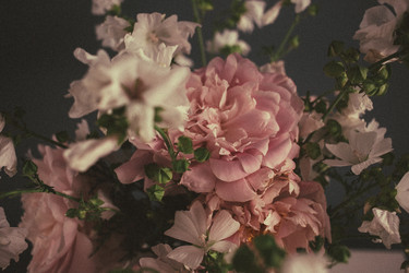 Similar image 21545874