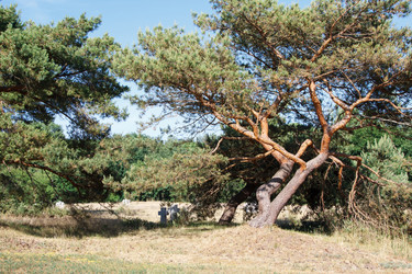 Similar image 21545876