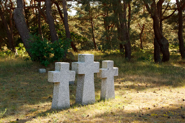 Similar image 21545879