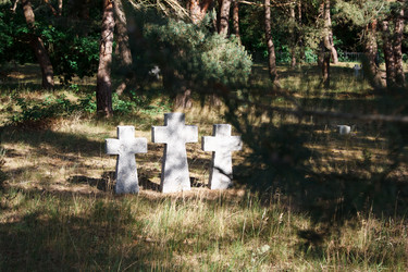 Similar image 21545883