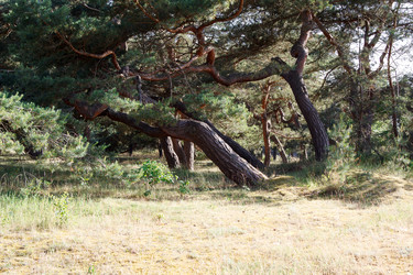 Similar image 21545886