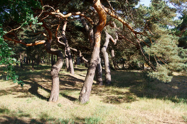 Similar image 21545888