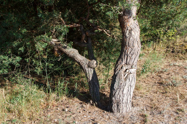 Similar image 21545890