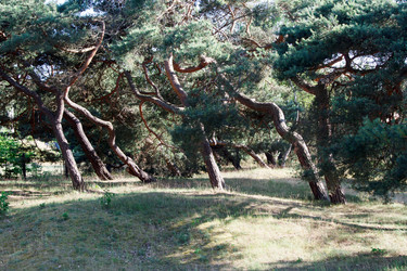 Similar image 21545892