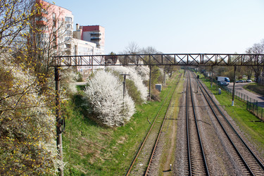 Similar image 21545898