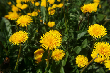 Similar image 21545903