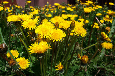 Similar image 21545905