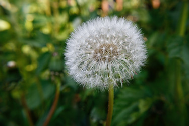 Similar image 21545907