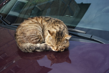 Similar image 21545908