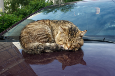 Similar image 21545909