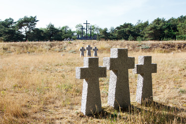 Similar image 21545911