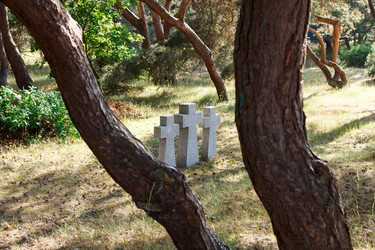 Similar image 21545912