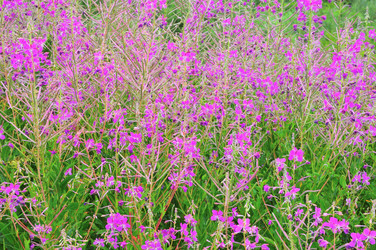 Similar image 21544591