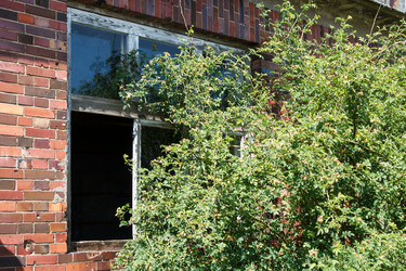 Similar image 21545942