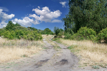 Similar image 21545944