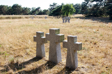 Similar image 21545946