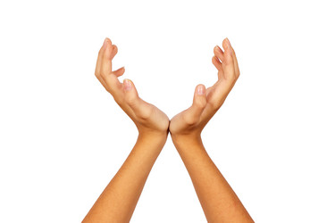 Similar image 21545950