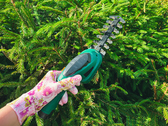 Similar image 21544615