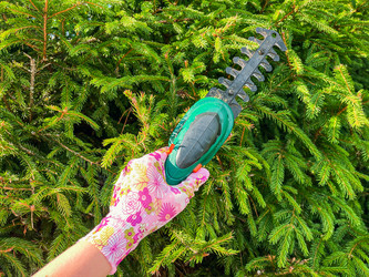 Similar image 21544618