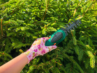 Similar image 21544620