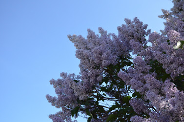 Similar image 21545101