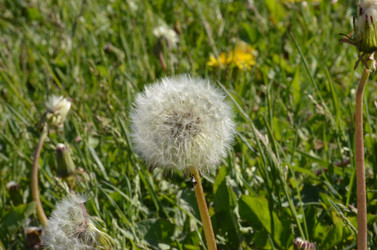 Similar image 21545102